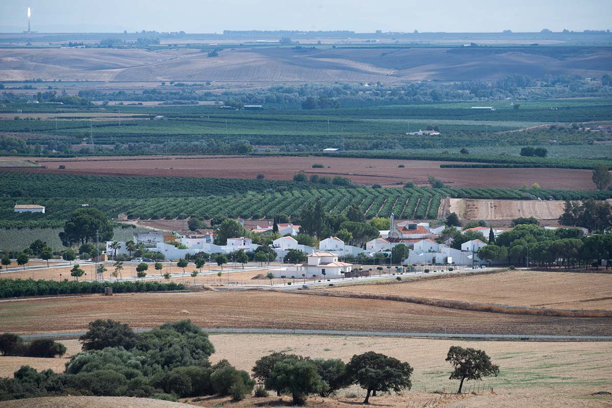 © Ana AmadoAndrés Patiño. Vista lejana del pueblo de Setefilla (Sevilla), 2016 - Gonzalo Doval Sánchez