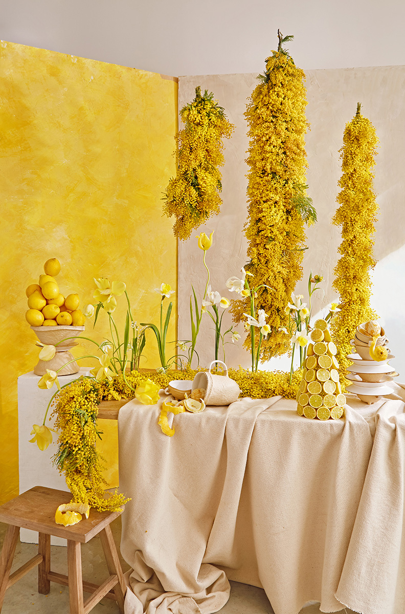 Mesa de mimosas. Diseñadora: Ana Rodriguez ©Milena Orlandi
