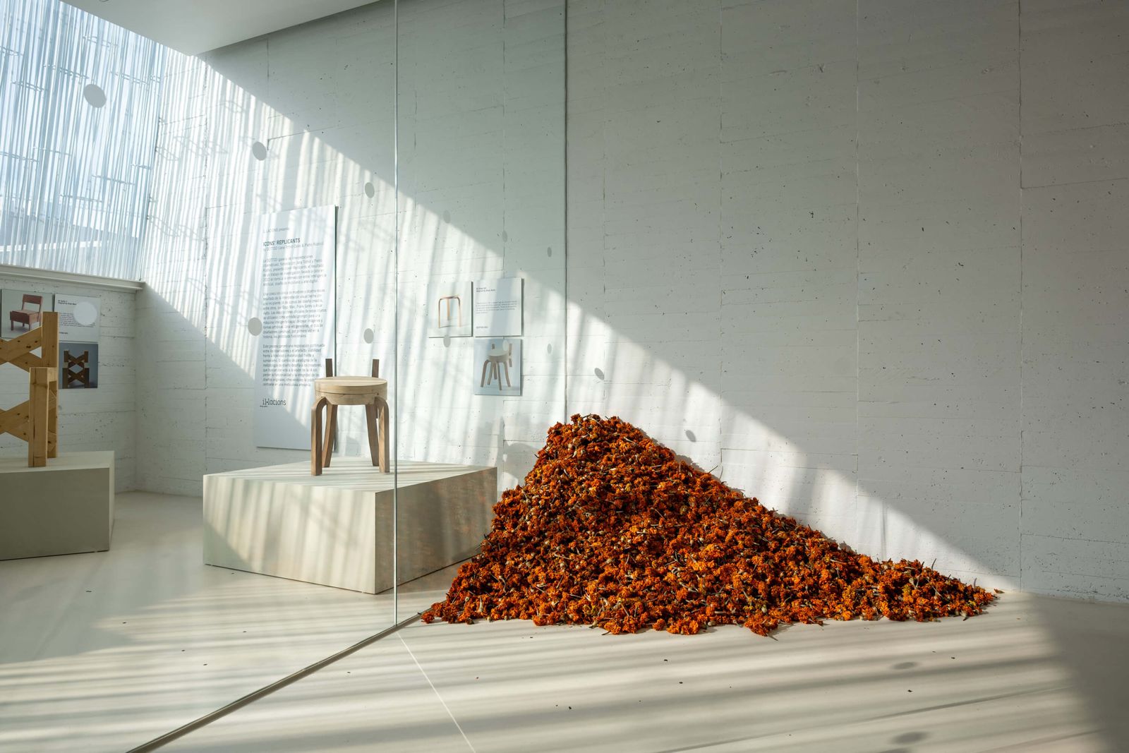 ©Jorquera ©Jorquera