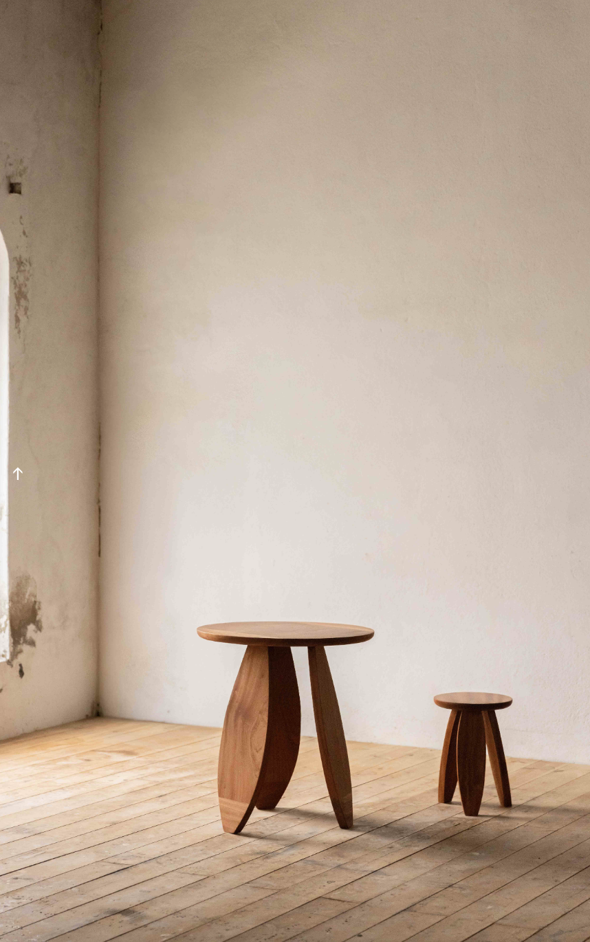 Vasco Fragoso Mendes