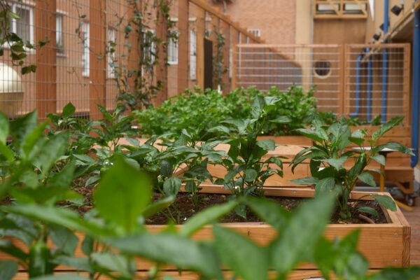 Alimentación con intención 2