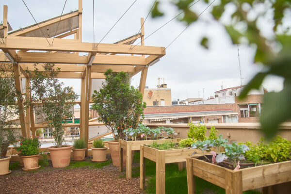 Alimentación con intención