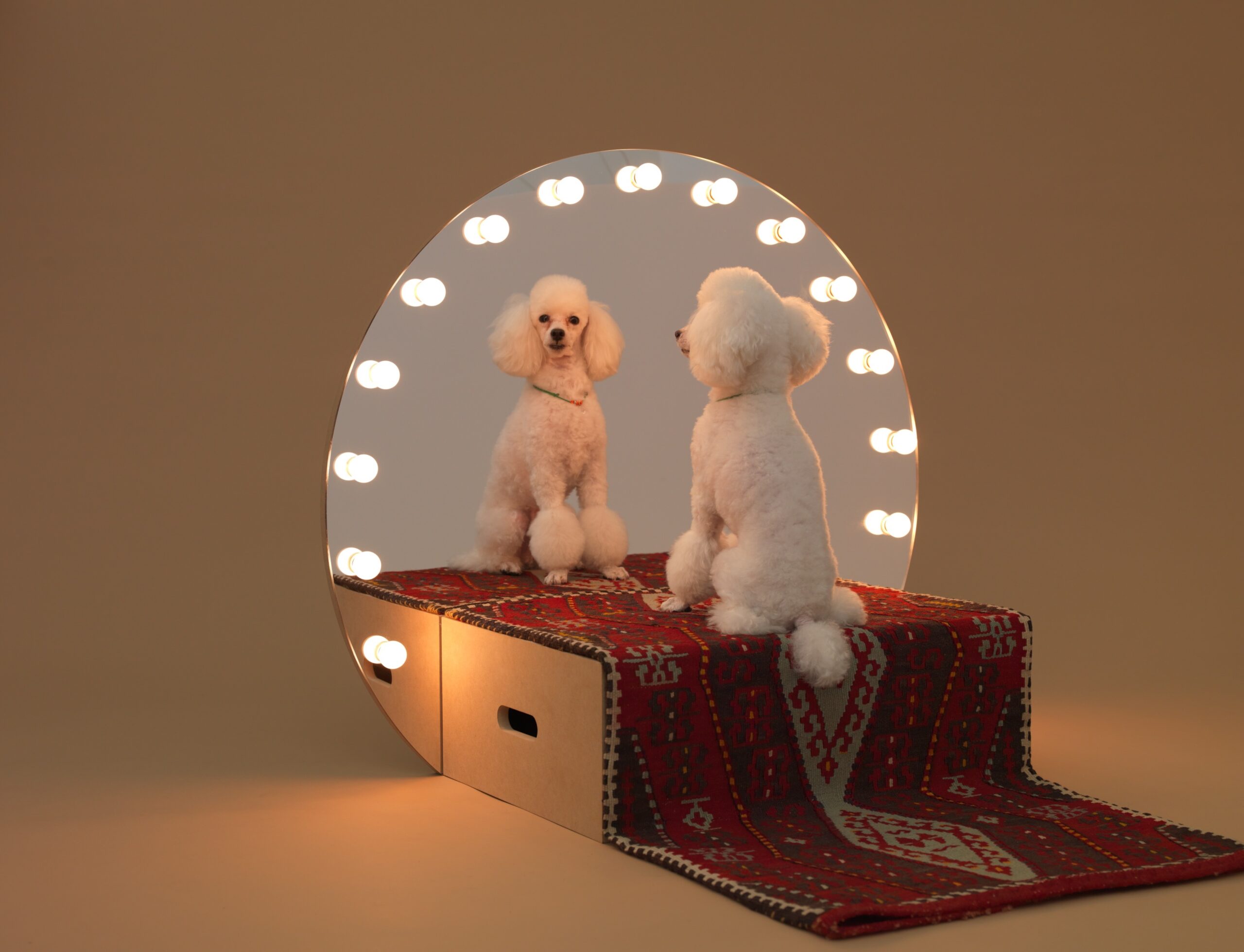 Paramount / Architecture for Dogs / 2012 / Photo: Hiroshi Yoda