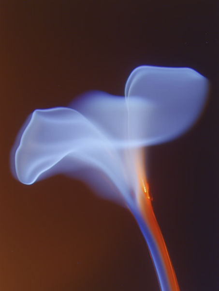 calm-technology-doers