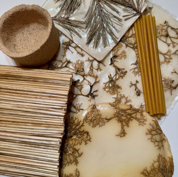 d3ada316-7ae9-480c-8614-dc84ce577587